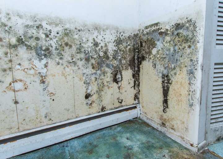 water damage causing mold on walls, ceilings and floor in Little Rock, AR